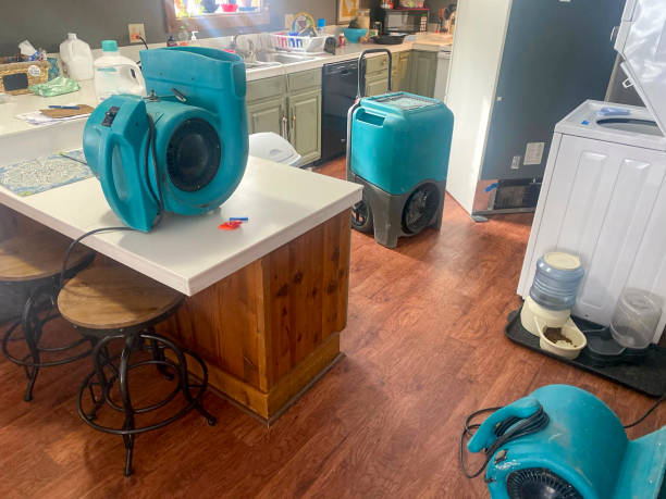 Best Local water damage restoration  in Peach Lake, NY