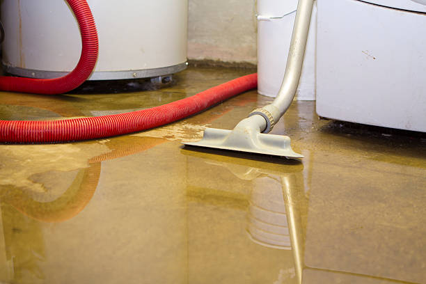 Best Carpet water damage restoration  in Peach Lake, NY