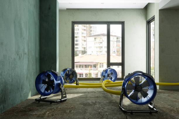 Best Basement water damage restoration  in Peach Lake, NY