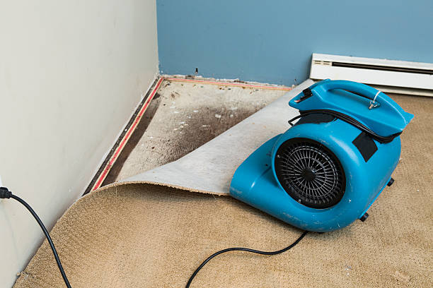 Best Water damage restoration specialists  in Peach Lake, NY